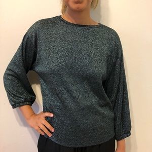 Zara glitter top